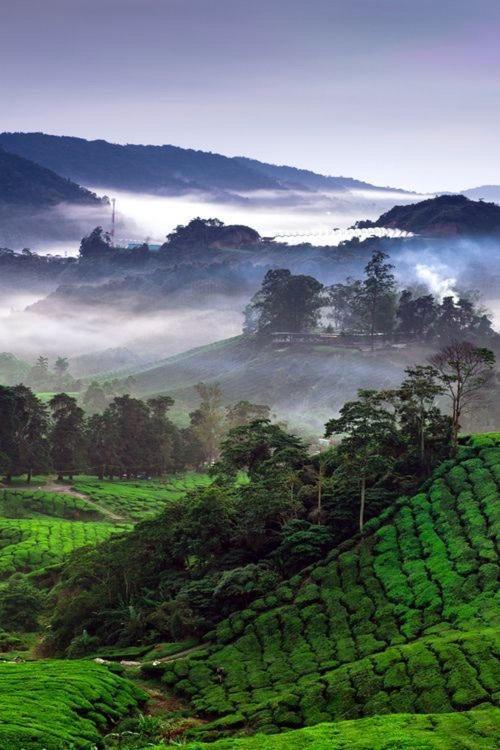 Ou Inn Cameron Highlands ,Ferm Nyonya Restaurant Tanah Rata Exterior foto