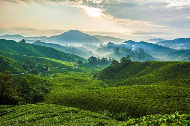 Ou Inn Cameron Highlands ,Ferm Nyonya Restaurant Tanah Rata Exterior foto